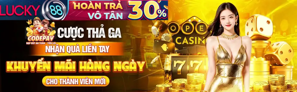 Bảo vệ dữ liệu người dùng tại tải 13wwin